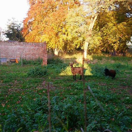 Le Jardin Des Ecureuils Hotel Demuin Kültér fotó