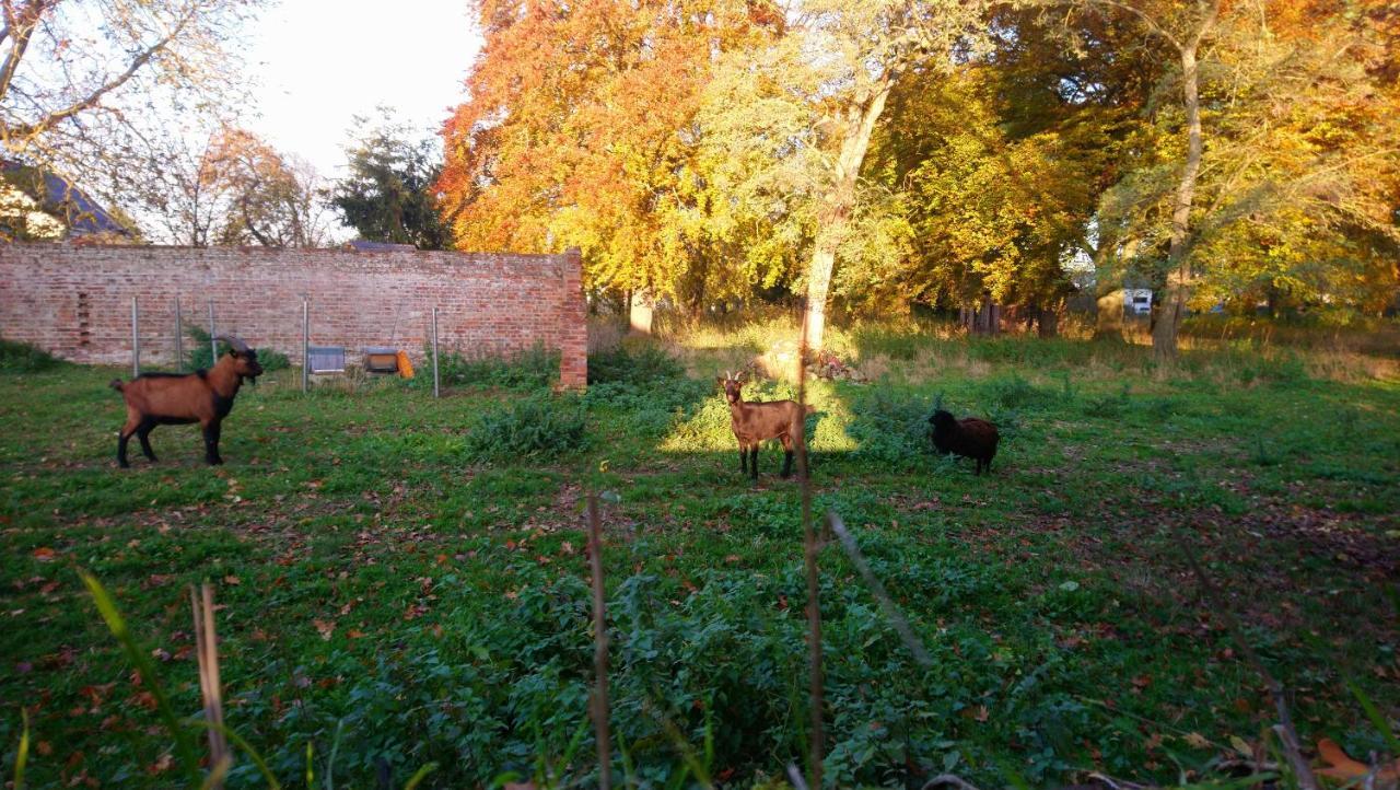 Le Jardin Des Ecureuils Hotel Demuin Kültér fotó